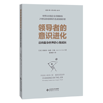 领导者的意识进化： 迈向复杂世界的心智成长